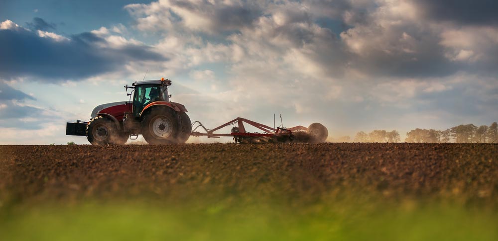 Agriculture